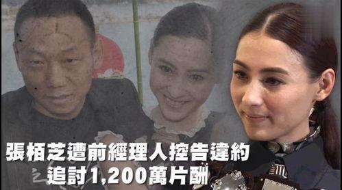 718吃瓜娱乐知道,揭秘娱乐圈最新热点事件