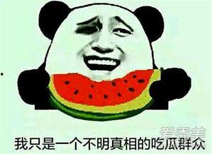 AAA娱乐一线吃瓜群众,揭秘吃瓜群众的狂欢与真相