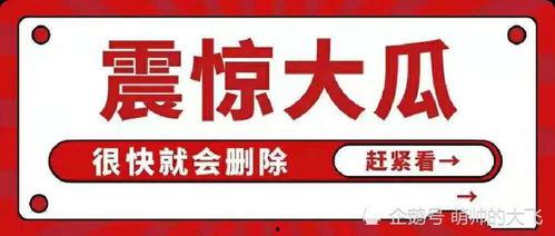 娱乐圈吃瓜暗语大全,吃瓜暗语大揭秘，带你领略明星幕后风云