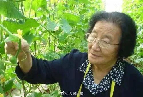 小小红娱乐吃瓜说,揭秘网红圈层吃瓜文化现象