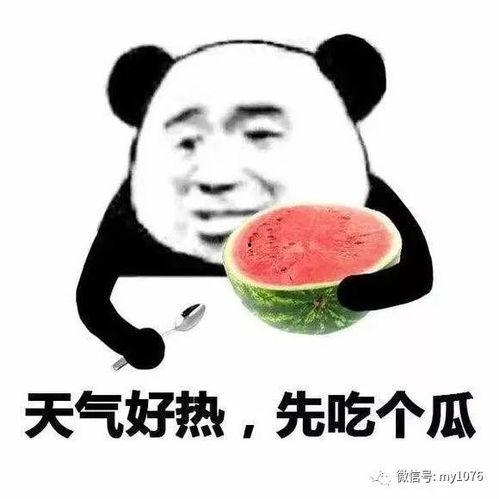娱乐吃瓜酱你相信爱情吗,探寻爱情信仰的真相