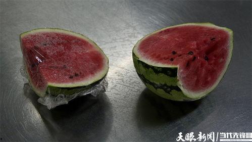 娱乐吃瓜菌,吃瓜菌带你探秘明星幕后故事