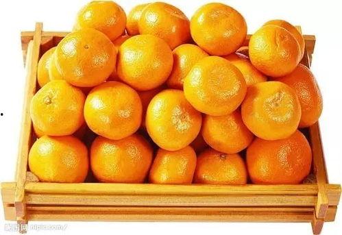 橘子娱乐吃瓜队