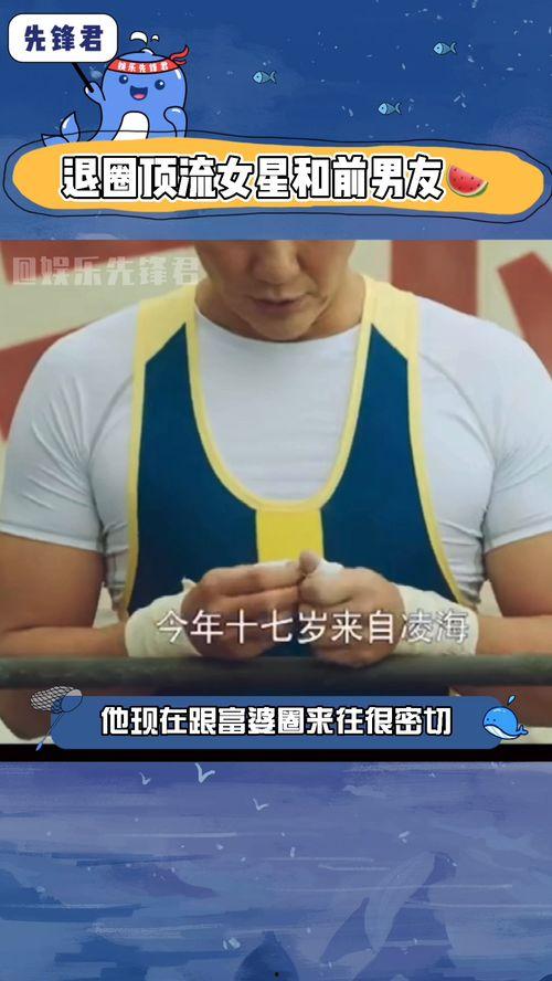 吃瓜热门娱乐播报台,揭秘娱乐圈最新动态，带你畅游娱乐世界