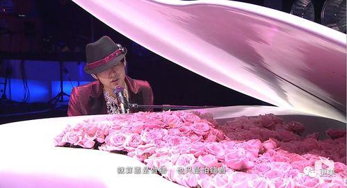 娱乐吃瓜天王与天后,天王天后联手演绎传奇佳话