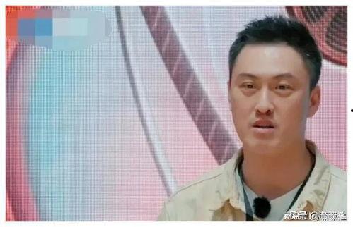 娱乐圈吃瓜二人是谁,揭秘娱乐圈背后的神秘故事